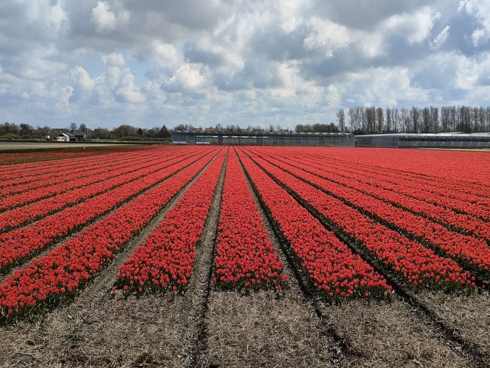 Sfeerbeeld van Relaxing Summer in Noordwijkerhout