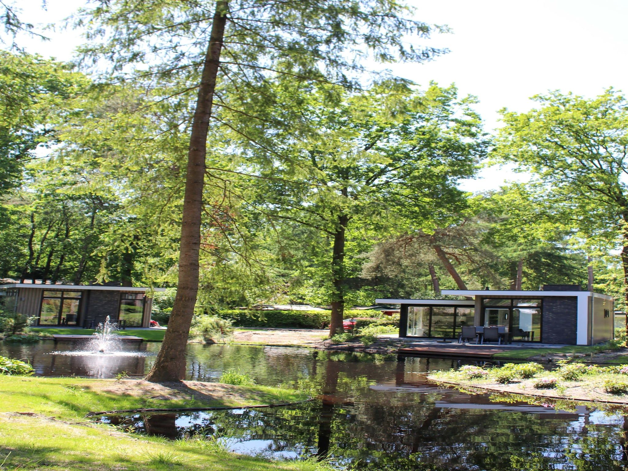 Vakantiepark De Rimboe & De Woeste Hoogte 22 in Hoenderloo - Foto 31 van 37