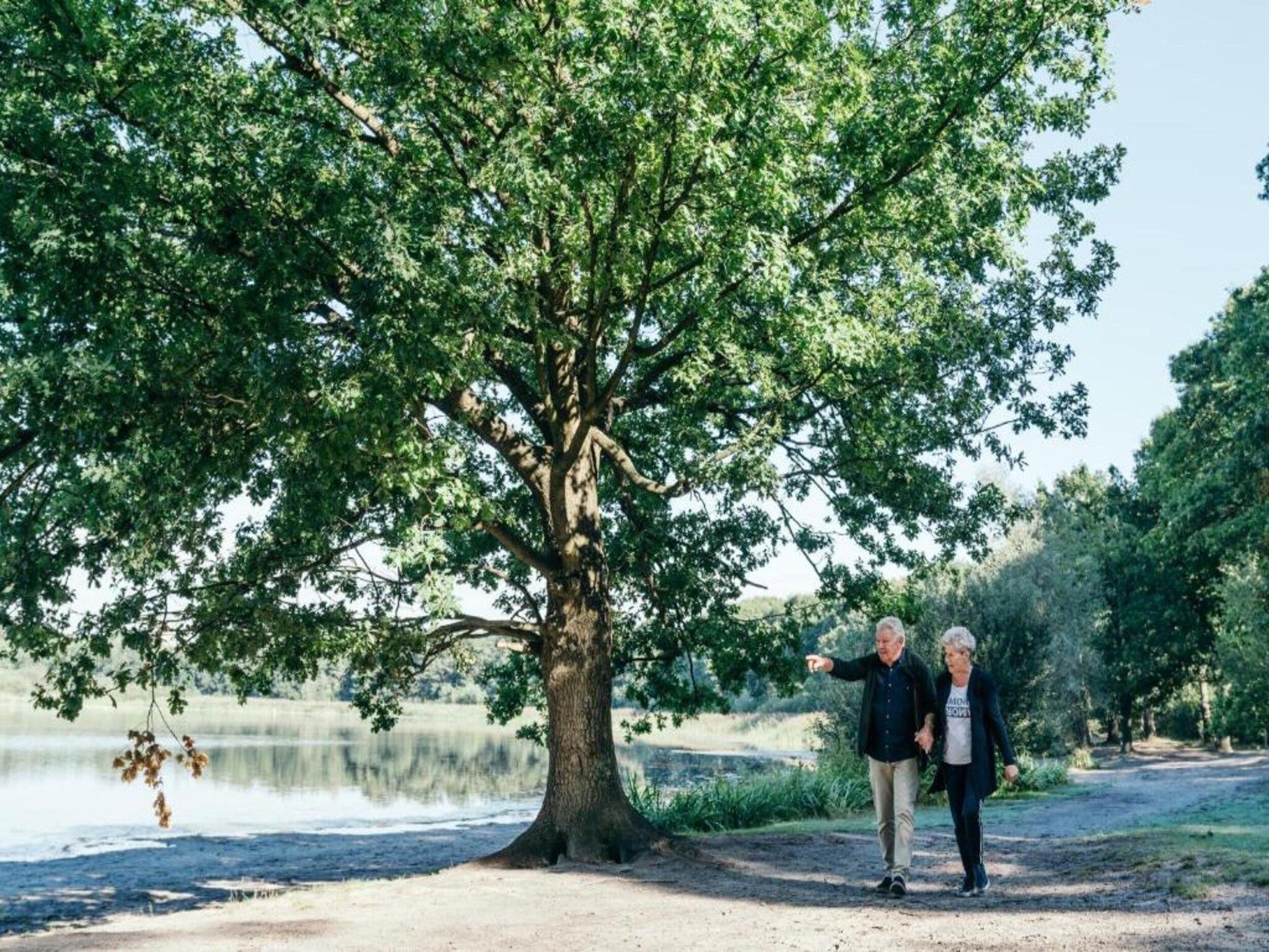 Vakantiepark Latour 1 in Oirschot - Foto 37 van 40