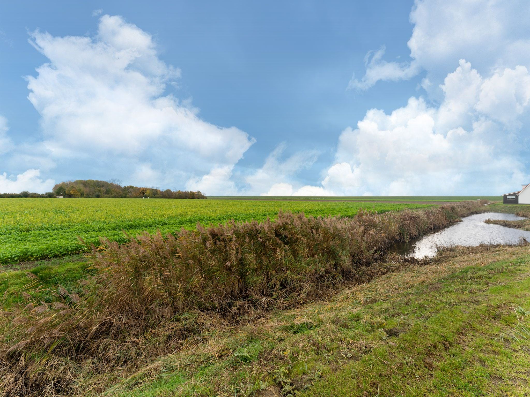 Het uitzicht vanaf De Kokmeeuw Huis Nr 11 in Scherpenisse
