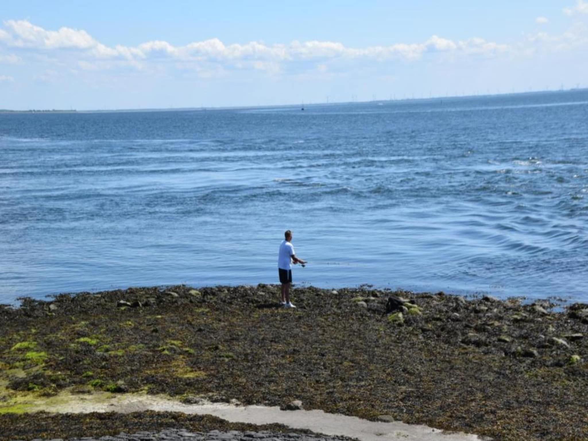 De Smient Huis  Nr 42 in Scherpenisse - Foto 38 van 40