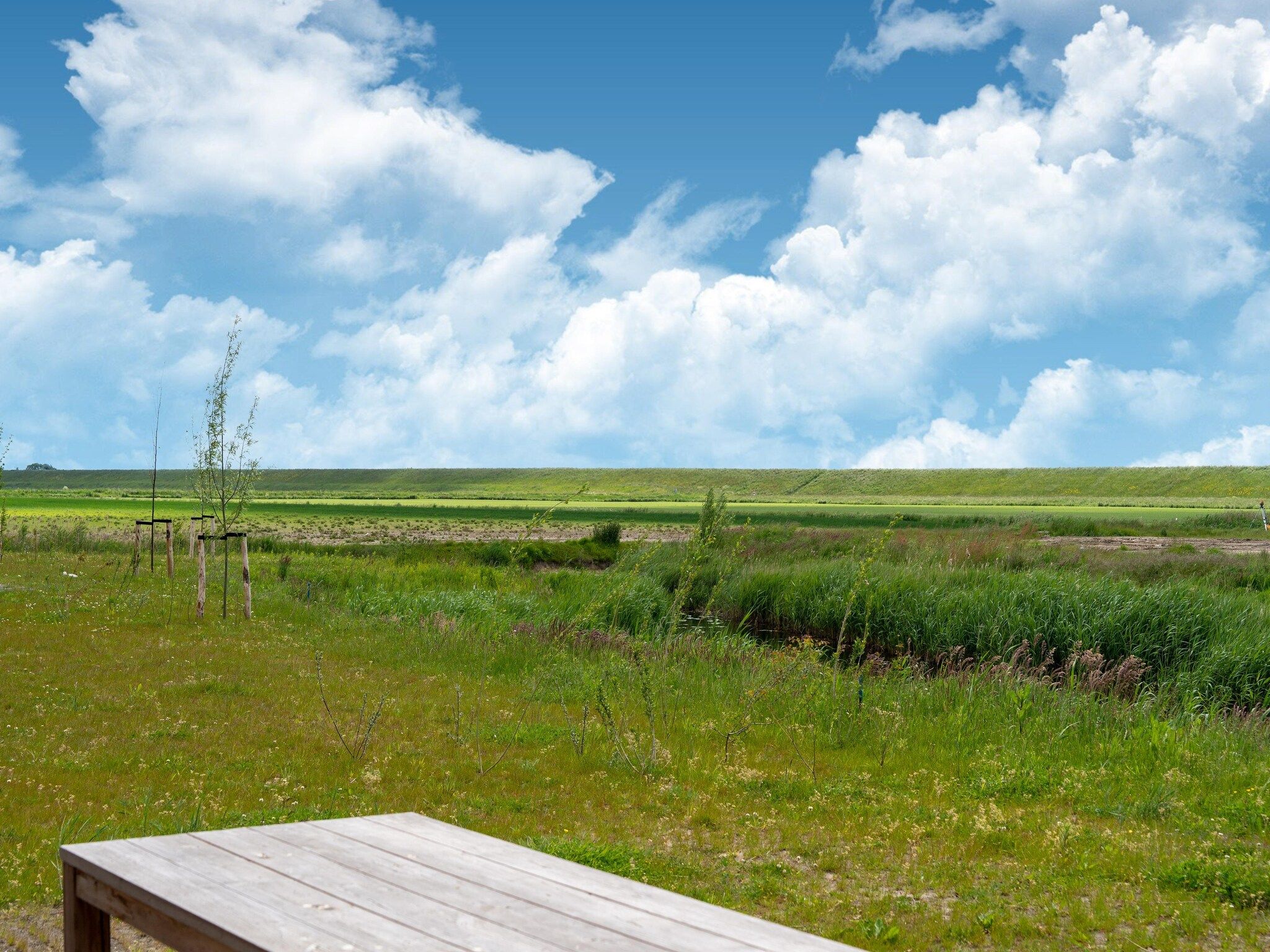 Het uitzicht vanaf Wulpdal Huis Nr 51 in Scherpenisse