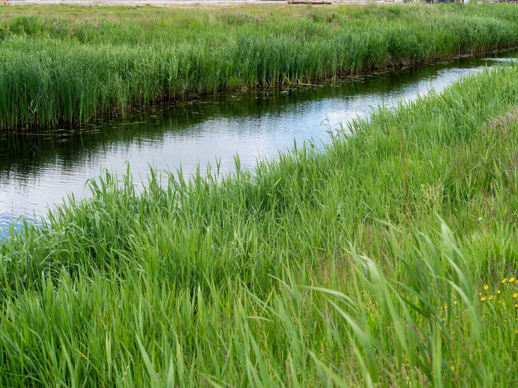 Wulpdal Huis Nr 51 in Scherpenisse - Foto 35 van 40