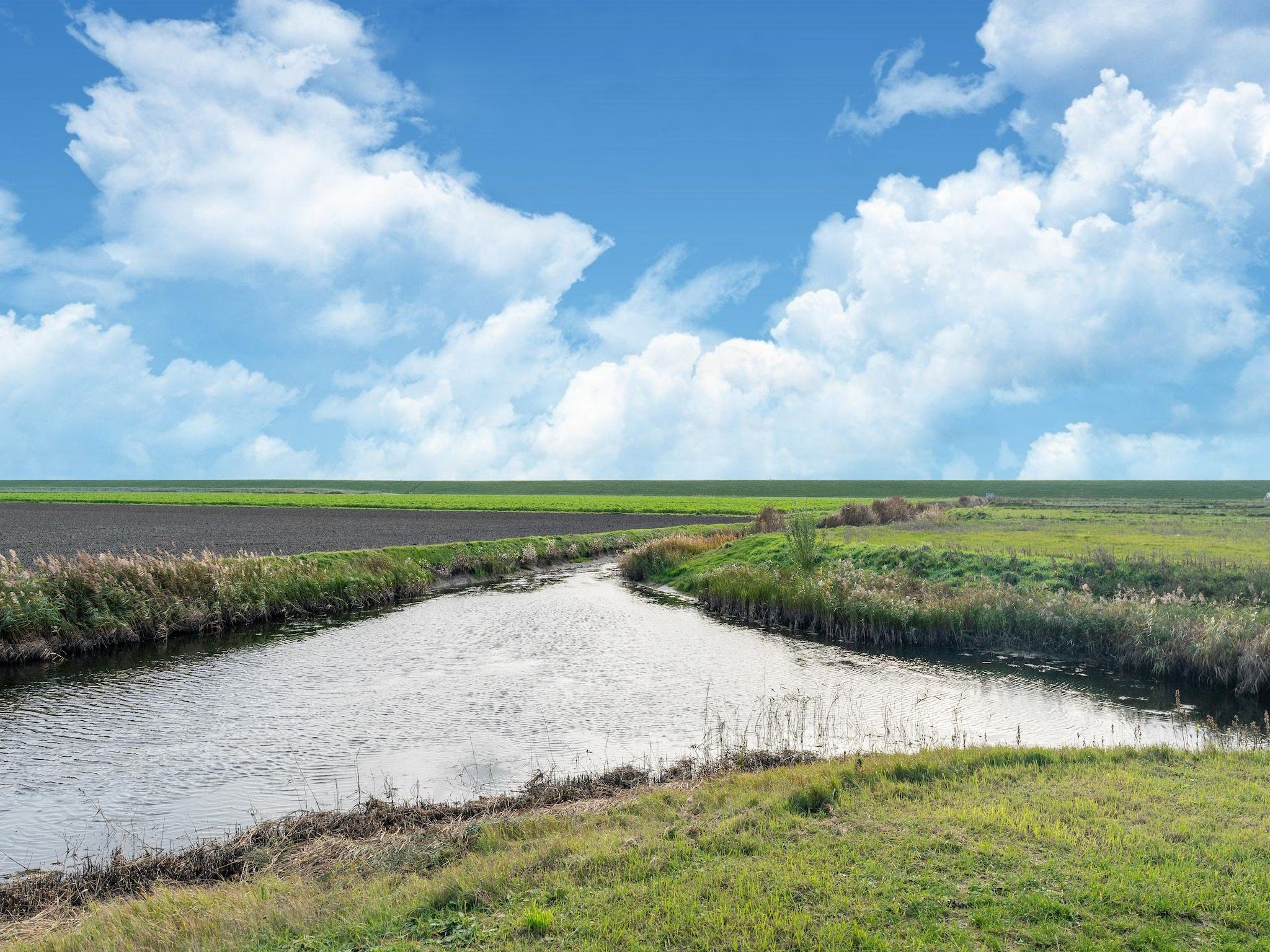 De omgeving van De Ooievaar Huis Nr 47 in Scherpenisse