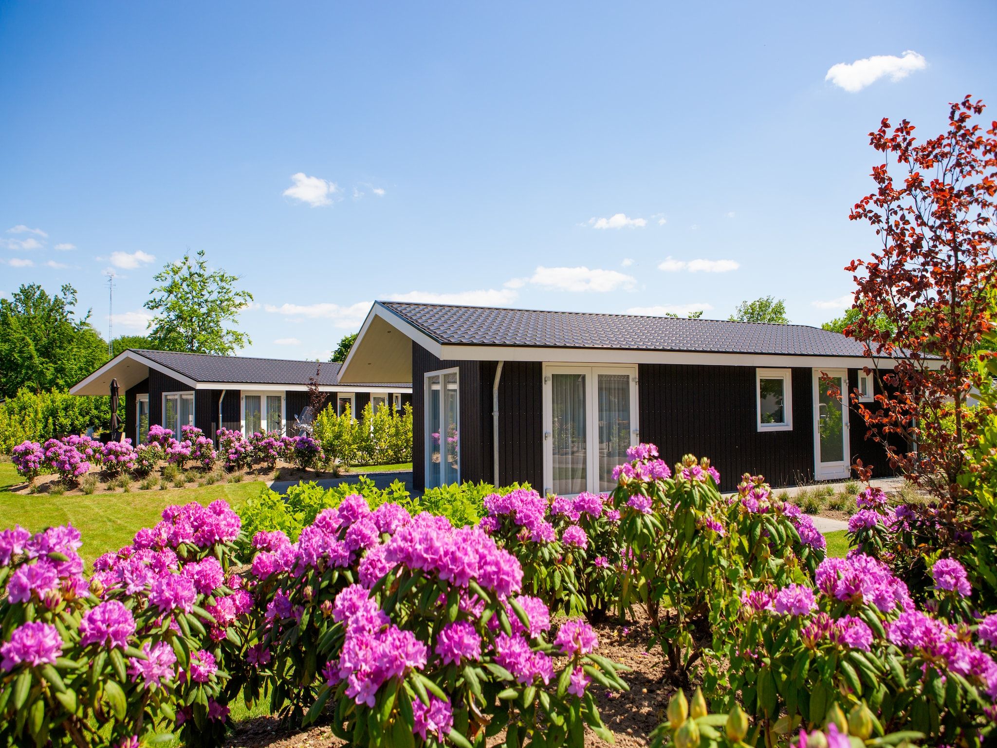 De buitenkant van Vakantiepark Molenvelden 1 in Veldhoven