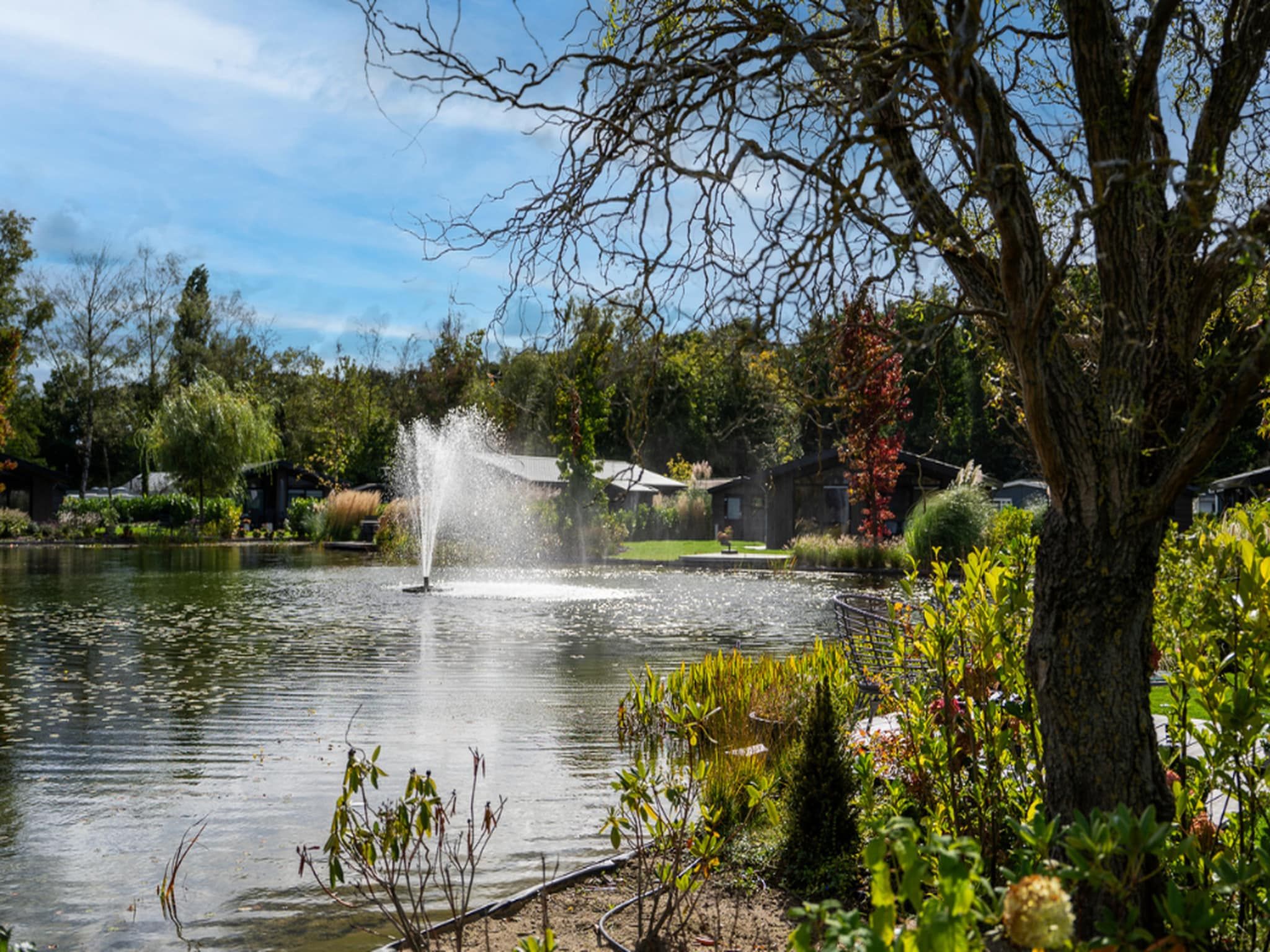 Vakantiepark Molenvelden 1 in Veldhoven - Foto 34 van 38