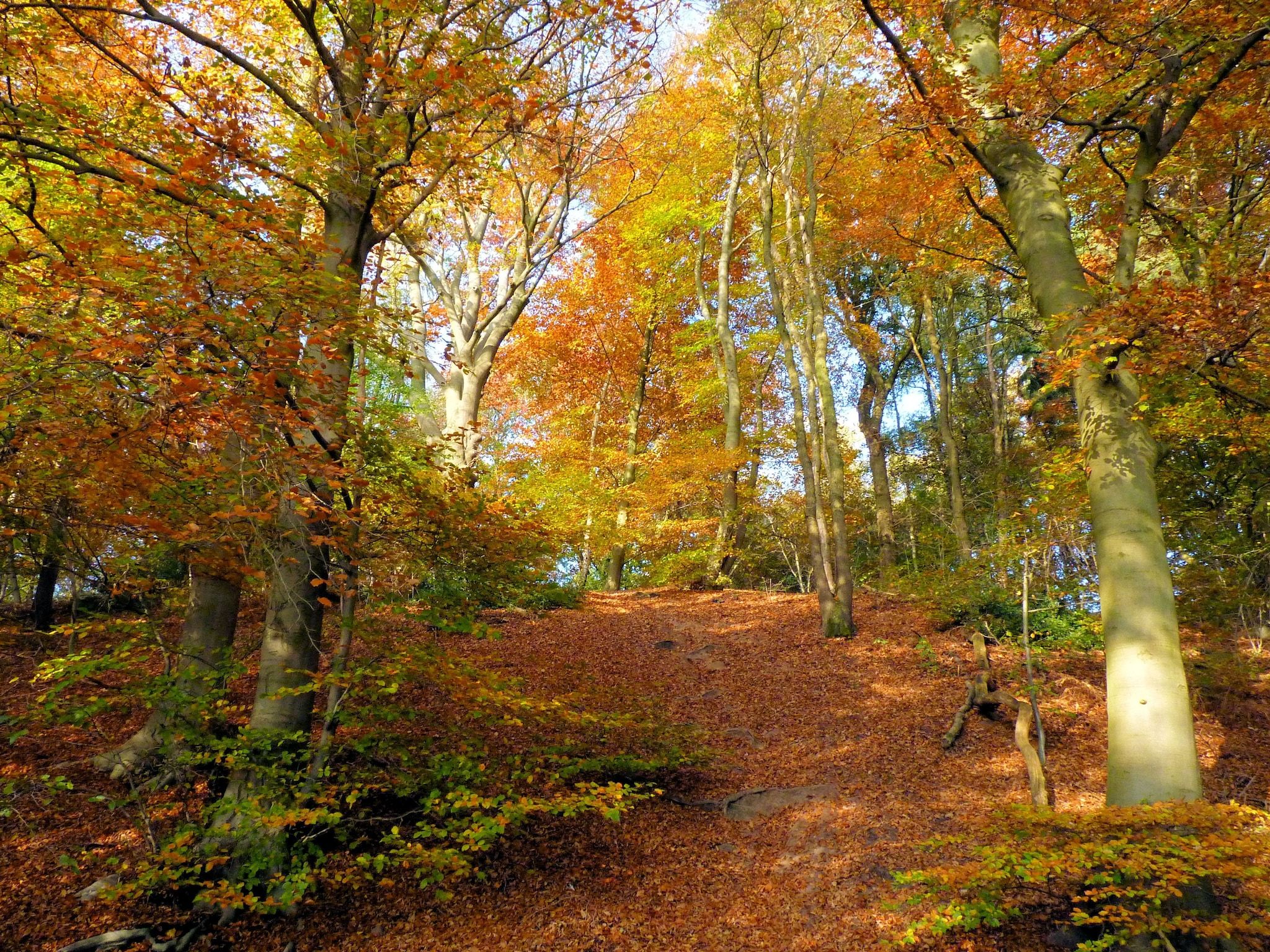 De omgeving van Vakantie bij Meeussen - Schuttersoord 3 in Mook