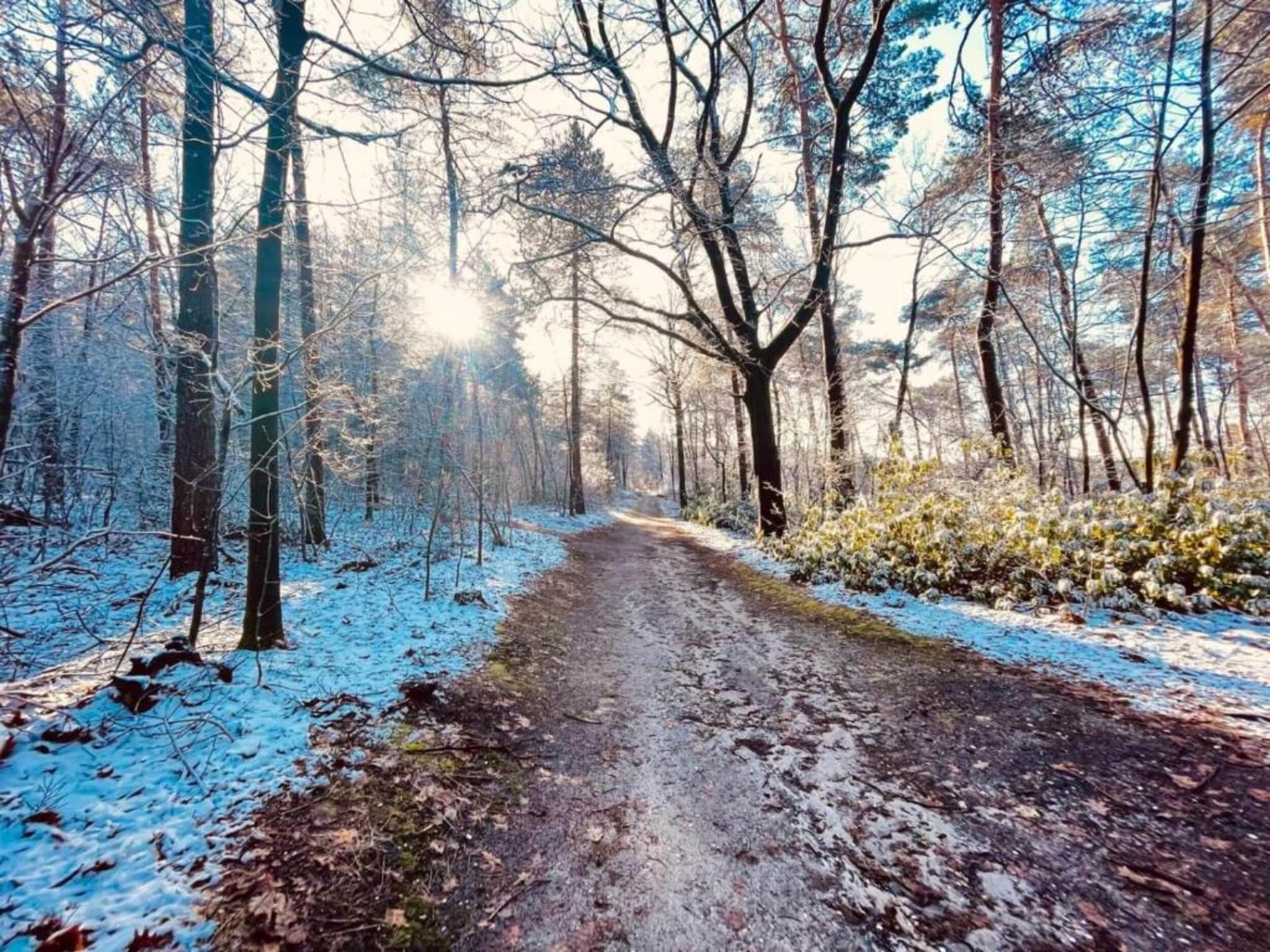 Vakantie bij Meeussen - Schuttersoord 3 in Mook - Foto 35 van 40