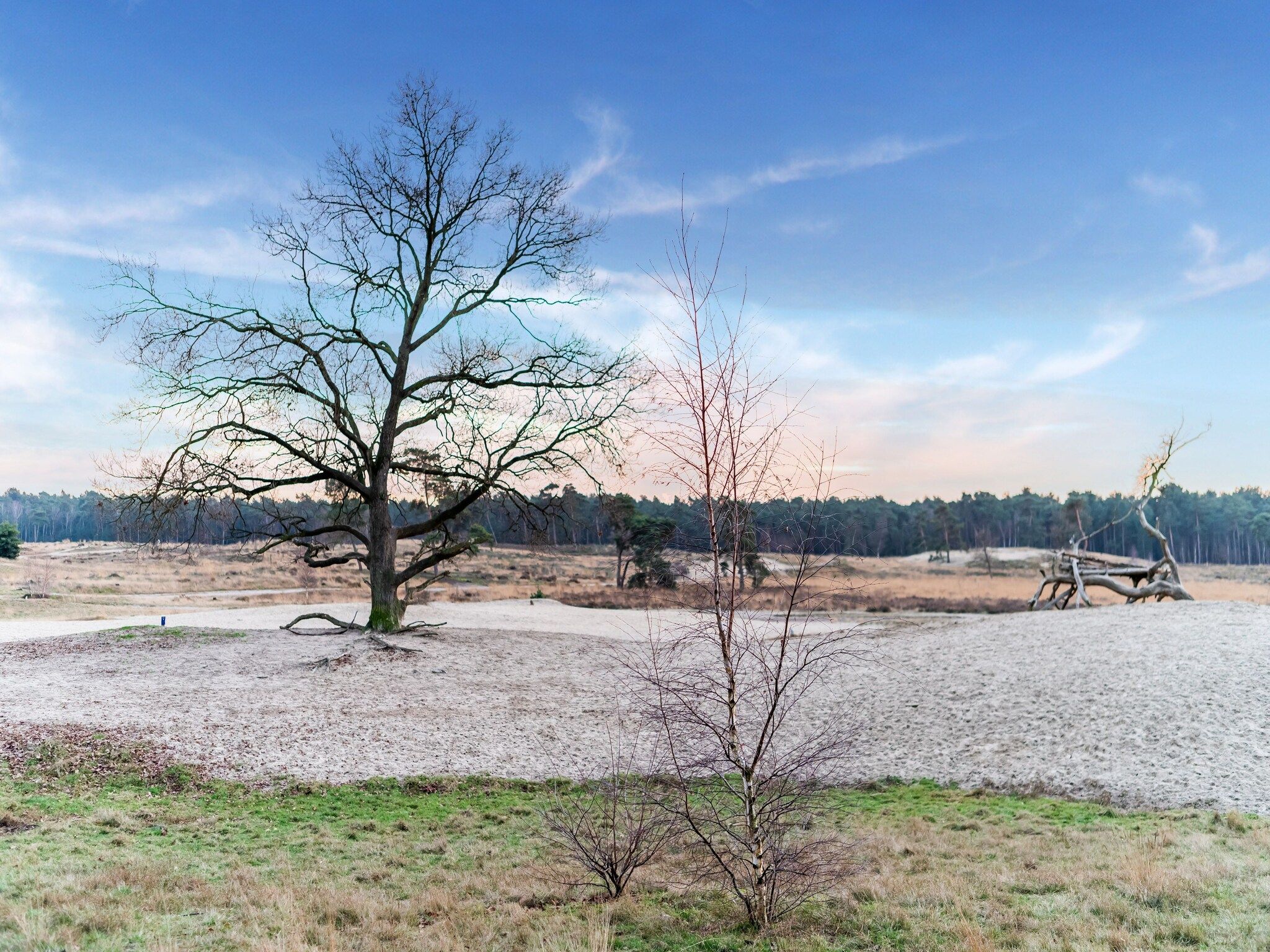 De omgeving van Villa Loonse Duinen in Drunen