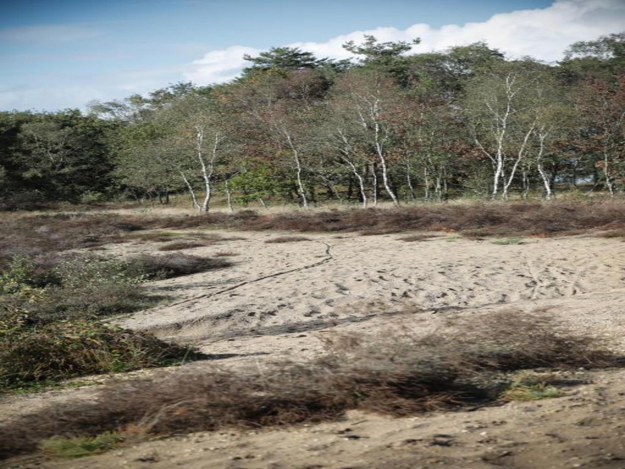 De Veluwse Eekhoorn in Garderen - Foto 29 van 38