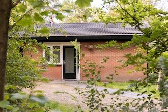 Bosbungalow met zwembad in Putten
