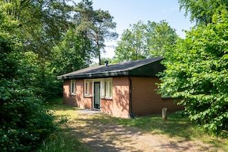Bosrijk toevluchtsoord in Putten in Putten