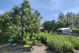 Vakantiehuis in Friesland met Kasuitstraling in Scherpenzeel (FR)