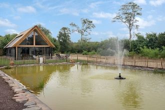 Verblijf in een lodge met uitzicht op de vijver in Baarle-nassau