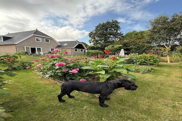 Fancy in Groet - Foto 26 van 26