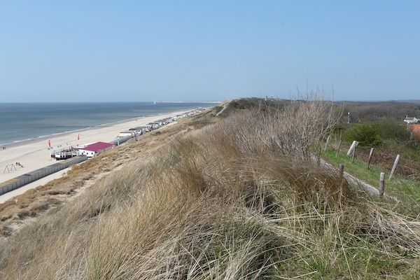 Zeeroos in Koudekerke-Dishoek - Foto 34 van 34