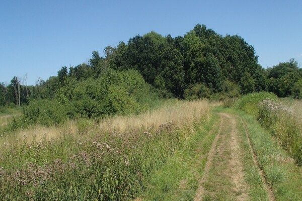Ritthemse Pracht in Vlissingen-Ritthem - Foto 34 van 34