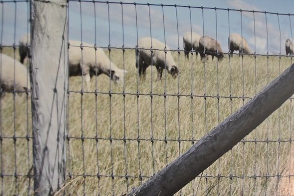 Zeedijk I in Tzummarum - Foto 40 van 40