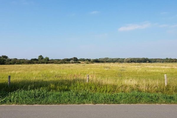 Naast het Bollenveld in Egmond-Binnen - Foto 40 van 40