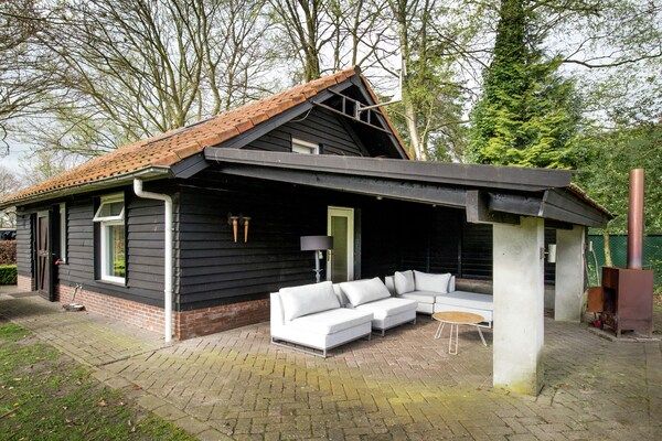 Terras - Vakantiehuis in Leende met Hottub & Tuin in Leende (5)
