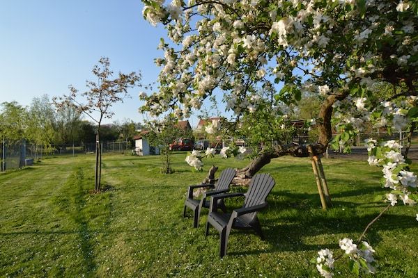 Pipowagen de Weideblick in Bergen op Zoom - Foto 2 van 43