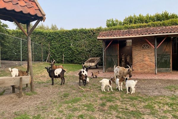 Pipowagen de Weideblick in Bergen op Zoom - Foto 43 van 43