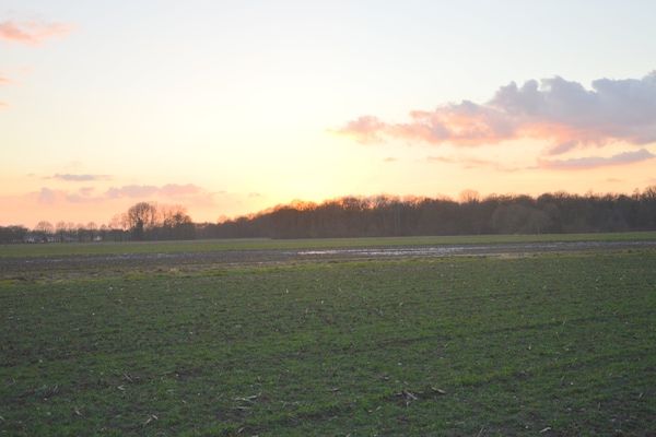 Bungalow 5 in Stramproy - Foto 39 van 39