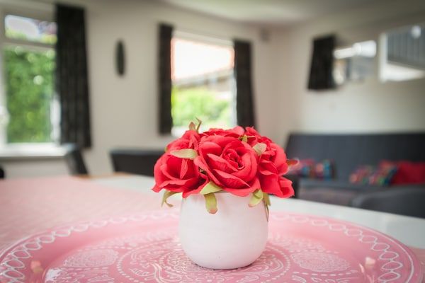 Huize Elja in Groet - Foto 40 van 40