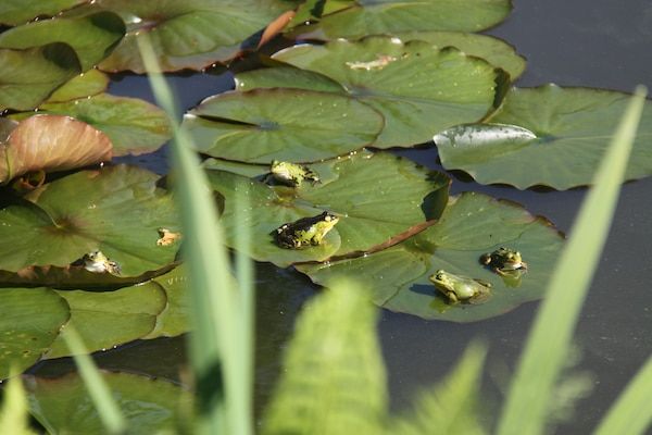 Kempernoel in Heino - Foto 39 van 39
