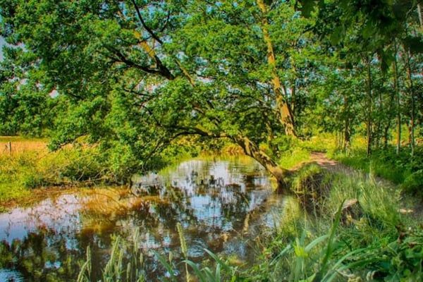 Panweg 14 in Maarheeze - Foto 41 van 41