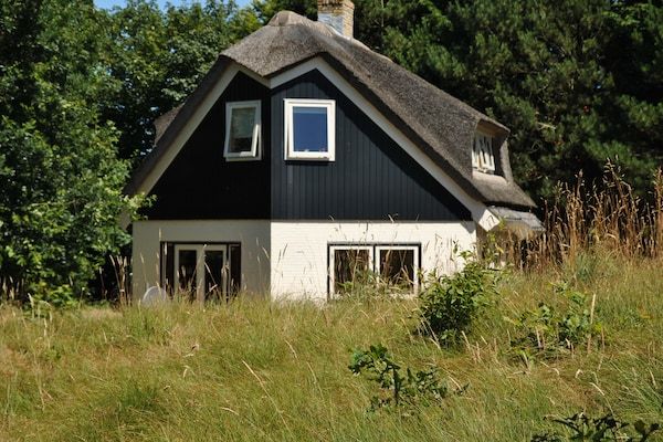 De Kerkuil in De Cocksdorp-Texel - Foto 1 van 28