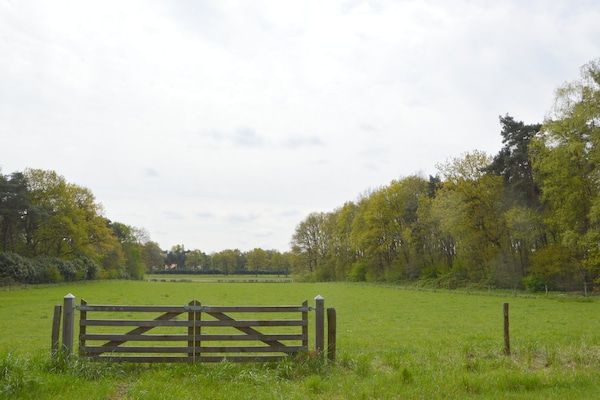 Bungalow 69 in Stramproy - Foto 32 van 32