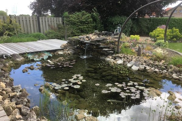 Groepswoning - De Ploeg in Groede - Foto 13 van 13