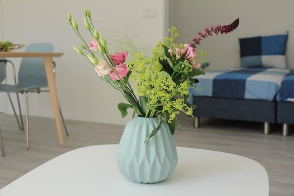 De Beukelaar 2pers in Schoorl - Foto 40 van 40