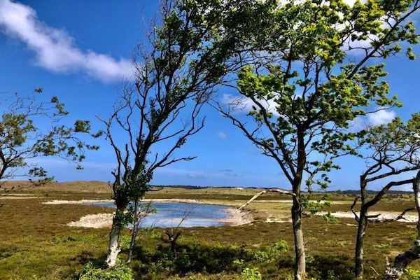 De Beukelaar 4 pers in Schoorl - Foto 36 van 36