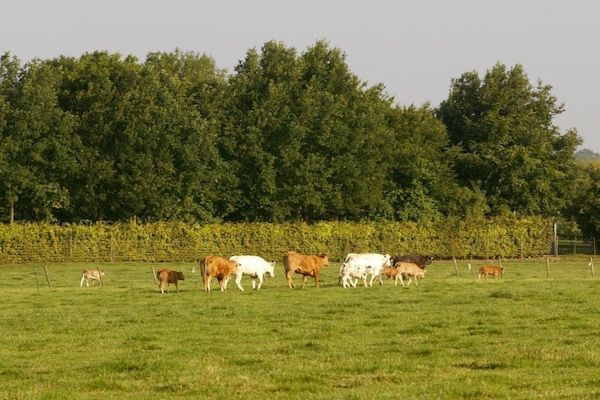 Resort Mooi Bemelen 9 in Bemelen - Foto 40 van 40