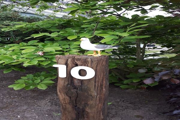 De Zilvermeeuw in Noordwijk - Foto 40 van 40