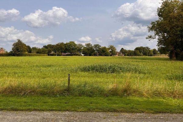 Recreatiepark Duinhoeve 12 in Udenhout - Foto 40 van 40