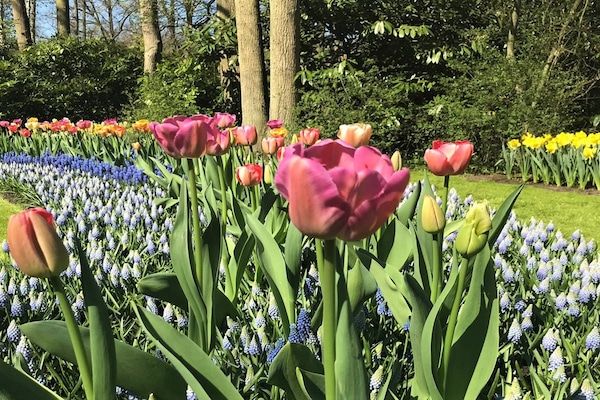 Scheveningen Harbour 22 in Scheveningen - Foto 38 van 38