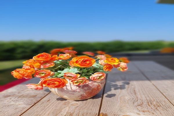 Water Resort Oosterschelde 51 in Wemeldinge - Foto 39 van 39