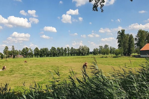 Landelijk Utrecht in Overberg - Foto 40 van 40