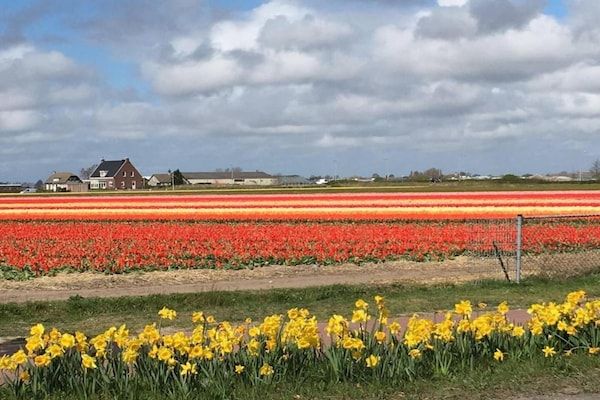 't Zeepaardje in Noordwijkerhout - Foto 40 van 40