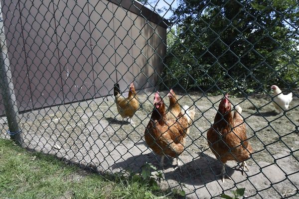 Het Hoge Noorden in Hippolytushoef - Foto 40 van 40
