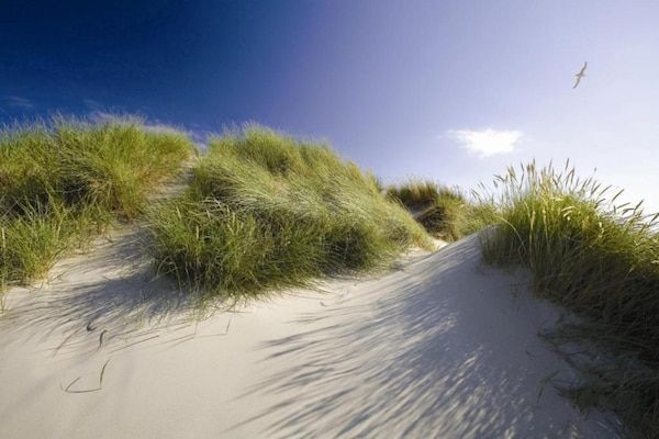 Bosch en Zee 3 in De Koog Texel - Foto 39 van 39