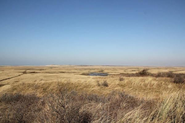 Bungalow van der Linde D-8b in De Cocksdorp Texel - Foto 14 van 14