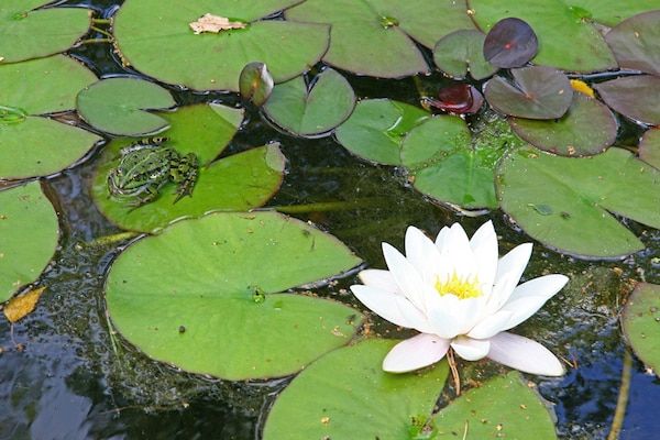 Bospark Markelo 1 in Markelo - Foto 40 van 40