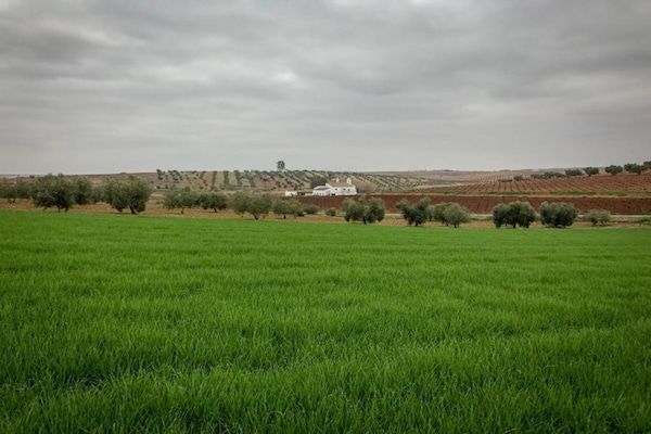 Villapark Ehzerburg 1 in Almen - Foto 21 van 21