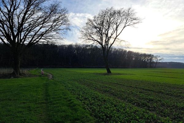 Villapark Ehzerburg 2 in Almen - Foto 33 van 33