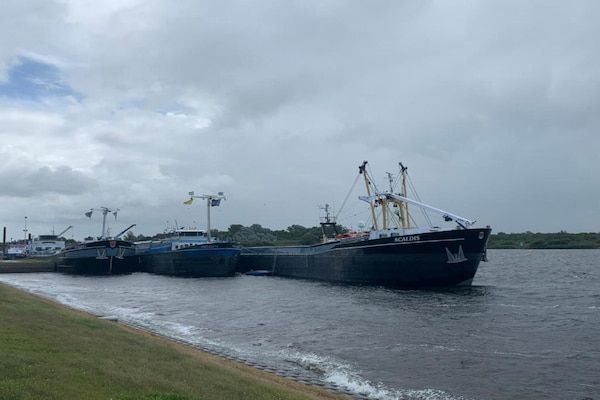 Vroondijk 2- duinappel en zonnebes in Vrouwenpolder - Foto 40 van 40