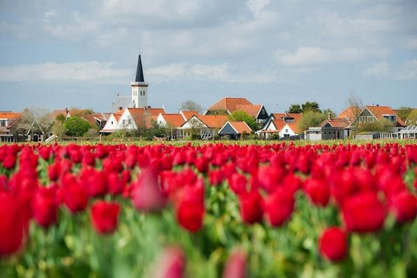 Het Wambuis in Den Hoorn- Texel - Foto 38 van 38